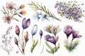 Spring Flowers Watercolor illustrations. Beauty Springtime. Isolated on white background Royalty Free Stock Photo