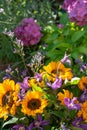 Colorful bouquet with summer flowers and yellow sunflowers in gr Royalty Free Stock Photo