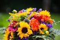 Colorful bouquet with sunflowers in the garden Royalty Free Stock Photo