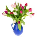 Colorful bouquet tulips Royalty Free Stock Photo