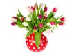 Colorful bouquet tulips Royalty Free Stock Photo