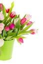 Colorful bouquet tulips Royalty Free Stock Photo