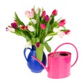 Colorful bouquet tulips Royalty Free Stock Photo