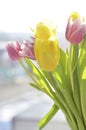 Colorful bouquet of tulips on the background of the window, yellow and pink spring flowers