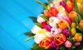 Colorful bouquet of tulips on blue wooden background. Spring tulip flowers. Royalty Free Stock Photo