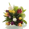 Colorful bouquet tulips Royalty Free Stock Photo