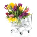 Colorful bouquet tulips in shopping cart Royalty Free Stock Photo