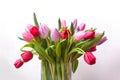 colorful bouquet of tulips in a transparent vase Royalty Free Stock Photo