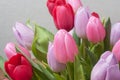 Colorful bouquet of tulips in vase Royalty Free Stock Photo