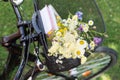 Colorful bouquet of wildflowers and pink color books in the basket of black bicycle in nature