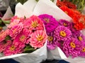 Colorful bouquets of flowers