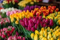 Colorful bouquets of tulips on the stand in the flower shop. Showcase. Floral shop and delivery concept. Flowers Royalty Free Stock Photo