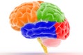 Colorful Brain Royalty Free Stock Photo
