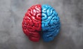 Colorful Brain Model Red Blue Split Representation of Human Brain Hemispheres Royalty Free Stock Photo