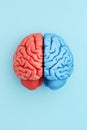 Colorful brain model split in half with red and blue sections on a blue background, representing science and creativity Royalty Free Stock Photo