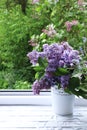 Colorful branches of lilac on an open window with a view of a blossoming lilac.