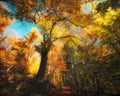 Colorful branches in painterly forest Royalty Free Stock Photo