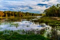 Colorful Brazos Bend Lake. Royalty Free Stock Photo