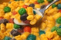 Colorful Breakfast Cereal in Milk with Spoon Royalty Free Stock Photo