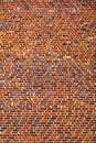 Colorful brick Wall Royalty Free Stock Photo