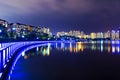 Colorful Bridge and cityscape at night in Korea.