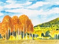 Colorful bright autumn landscape. Fall background. Watercolor hand painted illustration. Trees sketch, golden forest scene card Royalty Free Stock Photo