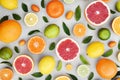 Colorful bright background of fresh ripe sweet citrus fruits: orange and red grapefruit, green lime and yellow lemon