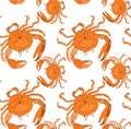 Colorful bright beautiful lovely summer sea tasty delicious pattern of orange crab vector illustration