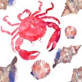 Colorful bright beautiful lovely summer sea tasty delicious pattern of red crabs and tender pastel seashells watercolor hand illus Royalty Free Stock Photo