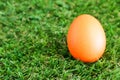 Colorful bright easter egg in the green grass closeup Royalty Free Stock Photo