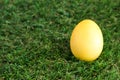 Colorful bright easter egg in the green grass closeup Royalty Free Stock Photo