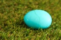 Colorful bright easter egg in the green grass closeup Royalty Free Stock Photo