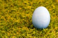 Colorful bright easter egg in the green grass closeup Royalty Free Stock Photo