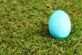 Colorful bright easter egg in the green grass closeup Royalty Free Stock Photo