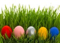 Colorful, bright easter eggs on on a fresh green grass isolated on a white background Royalty Free Stock Photo