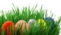 Colorful, bright easter eggs on on a fresh green grass isolated on a white background Royalty Free Stock Photo