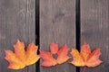 Colorful bright fallen maple leaves on a wooden bench. One leaf with a heart shaped hole. The concept of nature Royalty Free Stock Photo