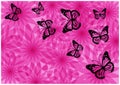 Colorful bright flowers and butterflies silhouettes