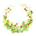 Beautiful elegant fresh watercolor wild strawberry wreath frame Royalty Free Stock Photo