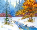 Winter Forest scene Royalty Free Stock Photo