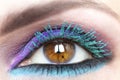 Colorful bright makeup on brown eye close-up. Royalty Free Stock Photo