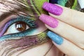 Colorful bright makeup on brown eye close-up. Royalty Free Stock Photo