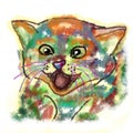 Colorful bright painted portrait of a crazy cat in different colors