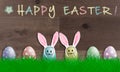 Colorful bright pastel easter eggs with bunny ears on wooden background, promotional sign with text happy easter Royalty Free Stock Photo