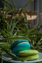 Colorful bright round desserts macaroon from the French confectionery and cafe.