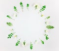 Colorful bright round pattern of leaves and flowers. Flat lay, top view