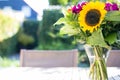 Colorful bright sunflower in vase in a green summer garden on wooden table. Selective focus. Royalty Free Stock Photo