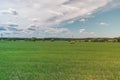 Colorful Bright Sunny Green Field Landscape With Blue Cloudy Sky, Trees And Hills