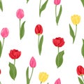 Colorful bright tulips seamless pattern. Red, yellow, pink flowers tulips and green leaves Royalty Free Stock Photo