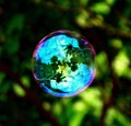 Colorful soap bubble Royalty Free Stock Photo